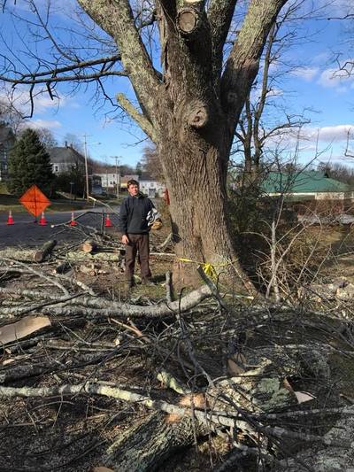 Timber work in midcoast Maine