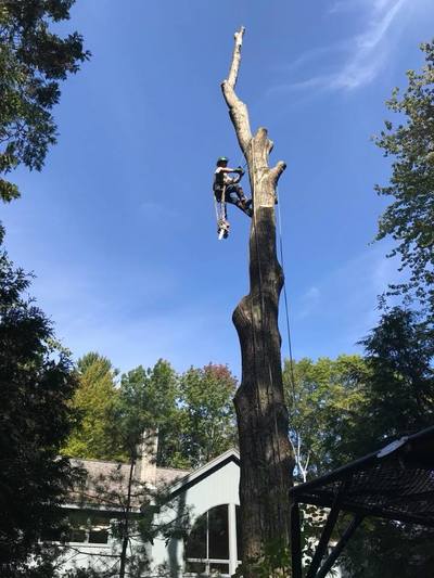 Vista clearing project completed