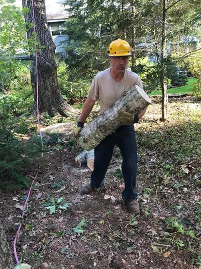Professional tree service crew working in coastal Maine
